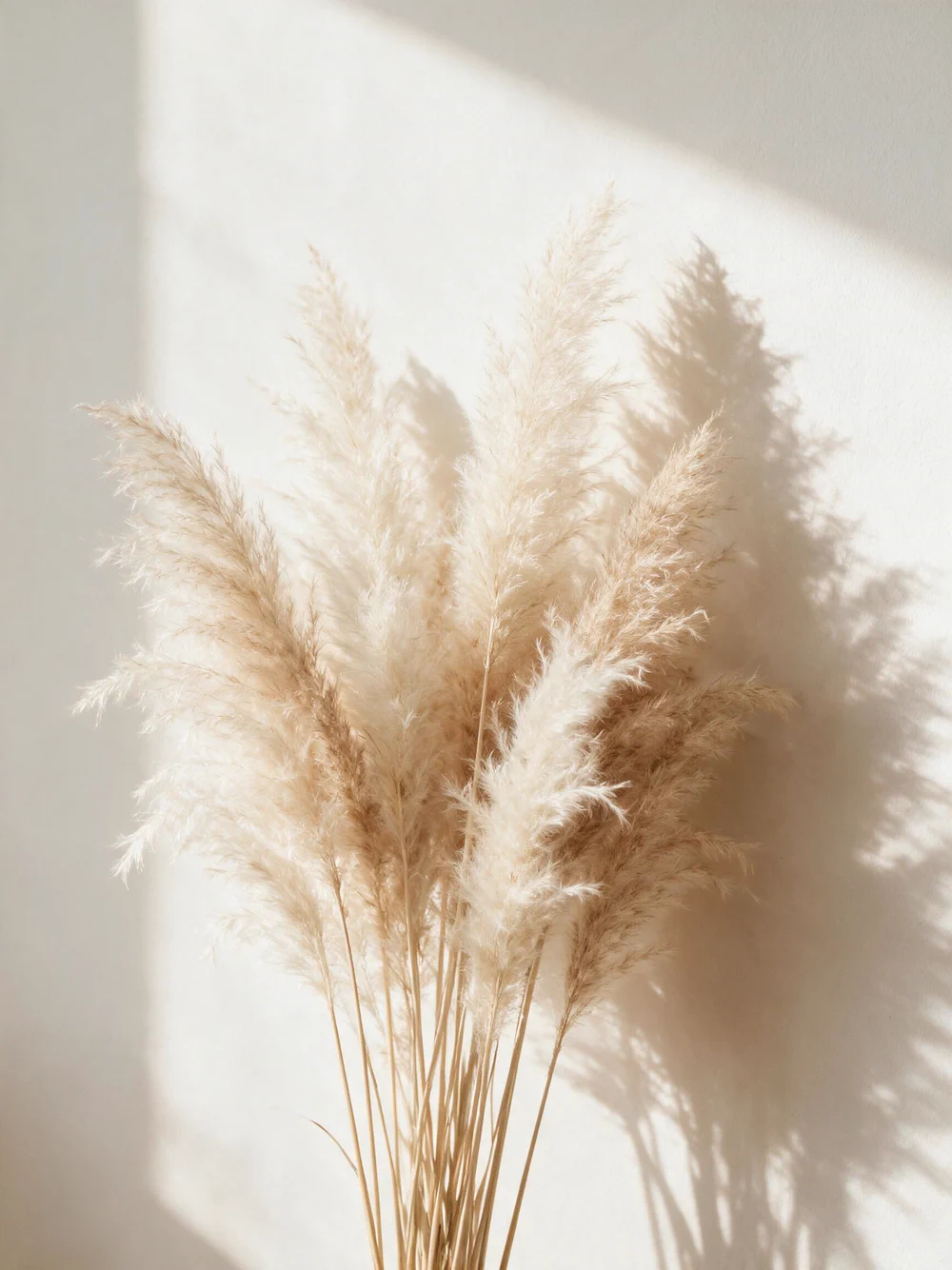 Functional skincare guidance from Theory of Skin